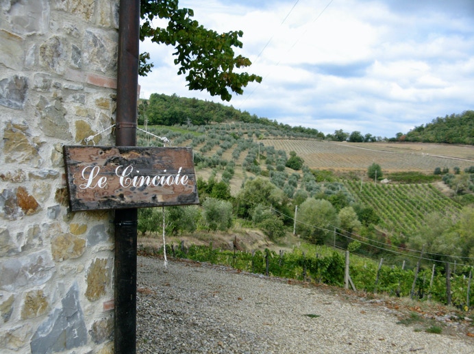 Le Cinciole Chianti Classico Toscana